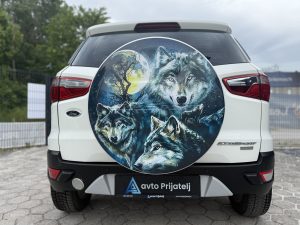 Ford Ecosport 16