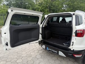 Ford Ecosport 18