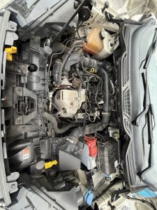 Ford Ecosport 4